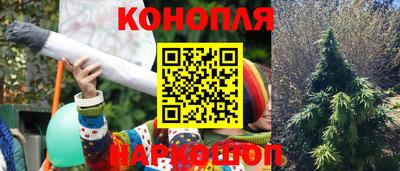 шишки Кунгур